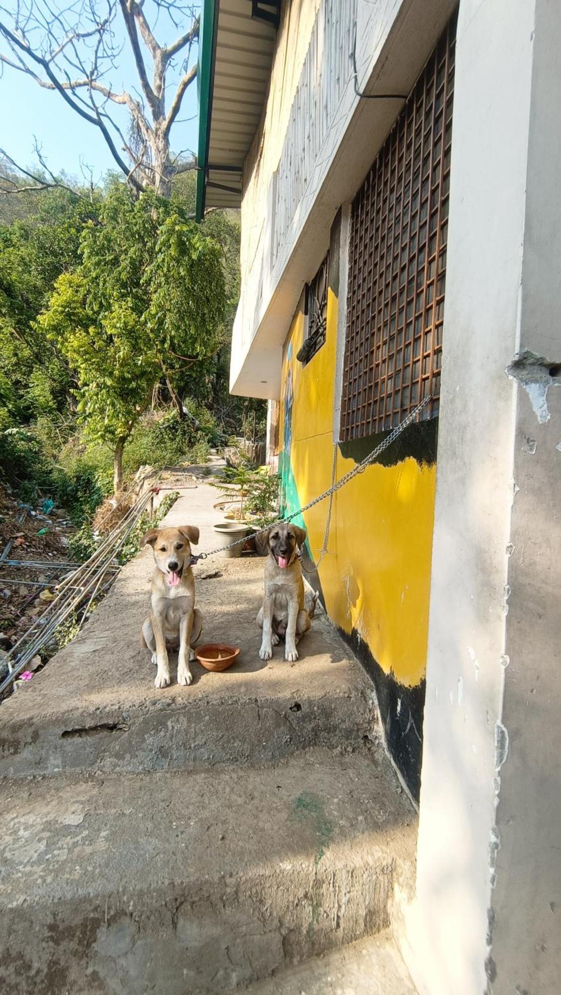 Blabla House Rishikesh Hostel Exterior photo